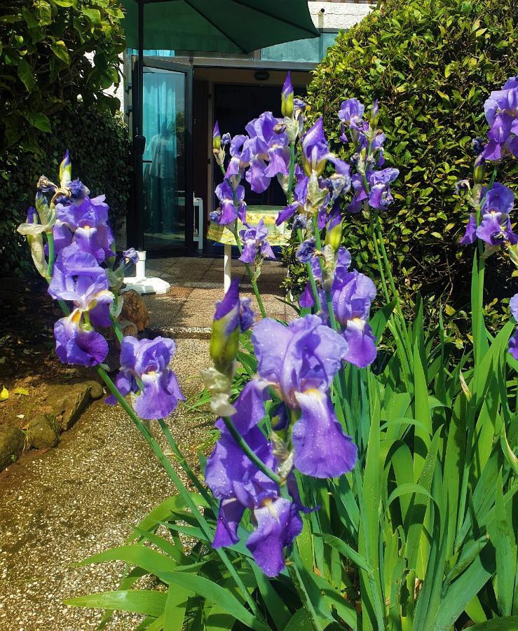 Le Jardin De La Plage - Linges Inclus La Londe-les-Maures Exterior photo