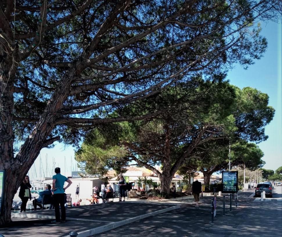 Le Jardin De La Plage - Linges Inclus La Londe-les-Maures Exterior photo
